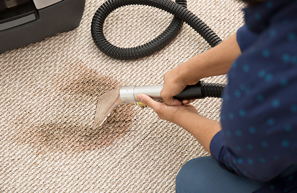 What Is the Professional Way to Clean a Carpet? - Rep House