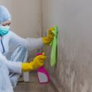 5 Signs you should Call a Mold Removal Specialist