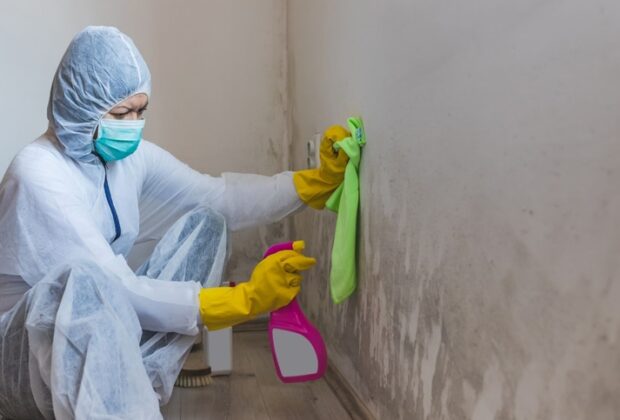 5 Signs you should Call a Mold Removal Specialist