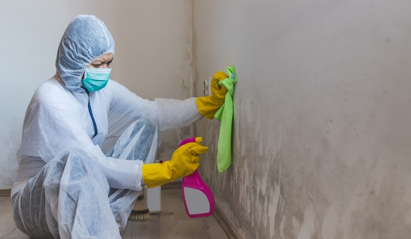 5 Signs you should Call a Mold Removal Specialist