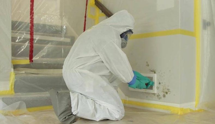 Mold Remediation Near Me