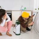 Pest Control vs. Pest Proofing