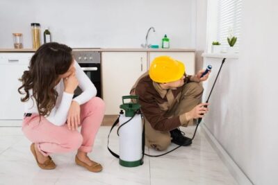 Pest Control vs. Pest Proofing