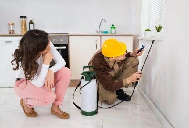 Pest Control vs. Pest Proofing