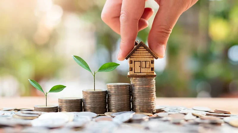Land for Sale as a Long-Term Investment Strategy