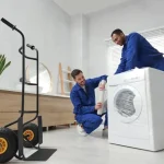 Comprehensive Moving Solutions for Families in Park Ridge