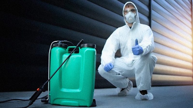 Pesticide Safety: Understanding Your Exterminator’s Products